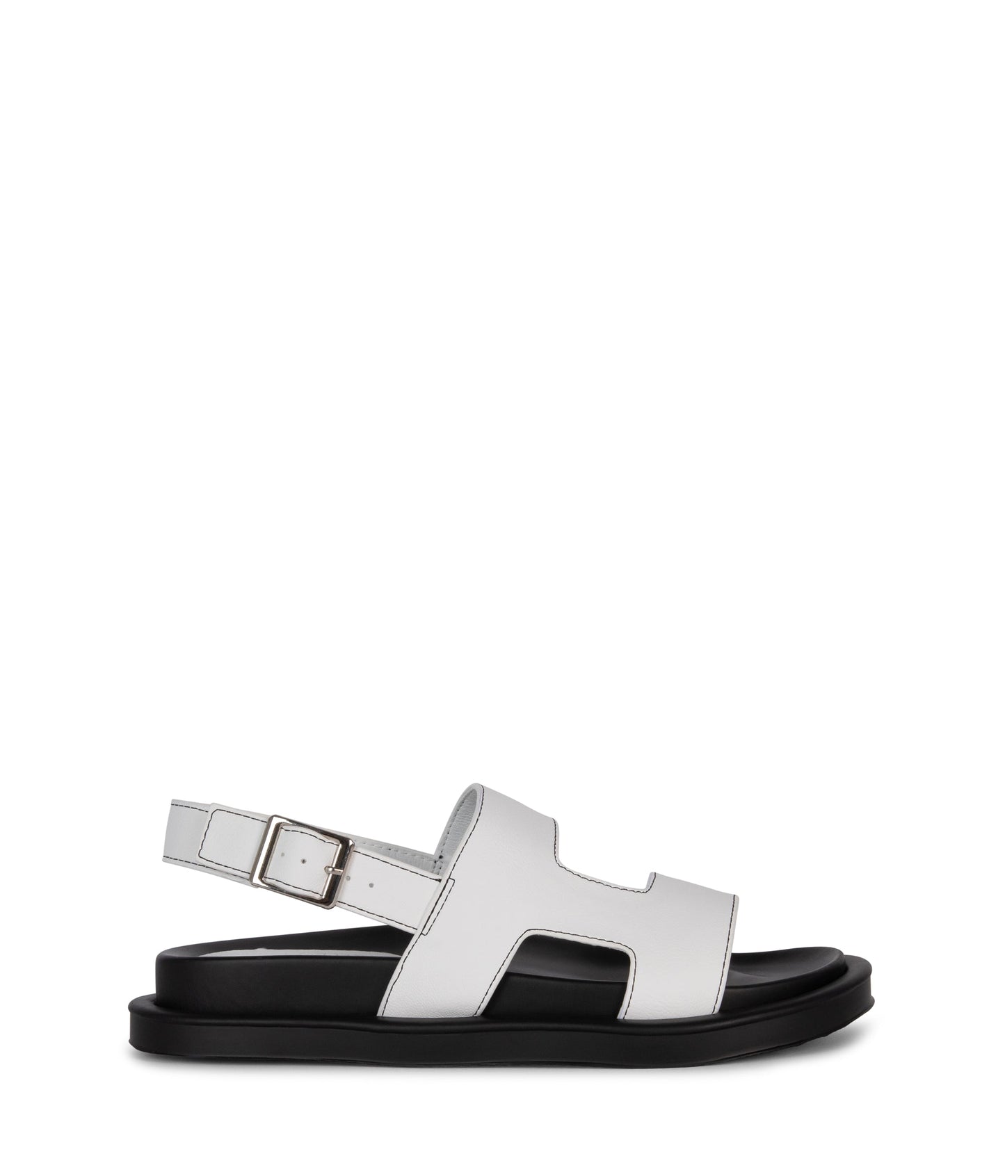 white,36