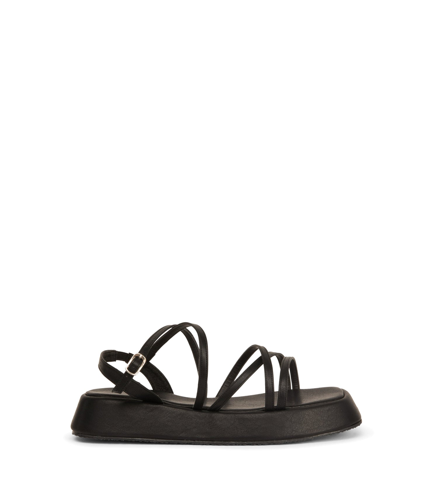 black,36